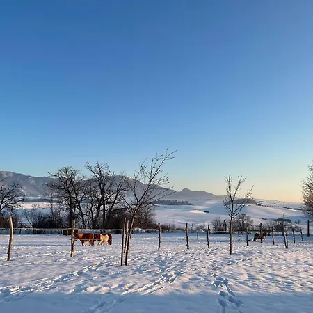 Chalet Garden House Martin