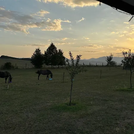Alpesi faház Garden House Turócszentmárton