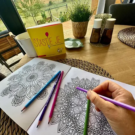 Chalet Garden House Martin