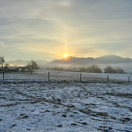 Alpehytte Garden House *