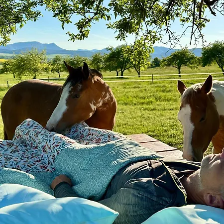 Garden House Alpehytte *