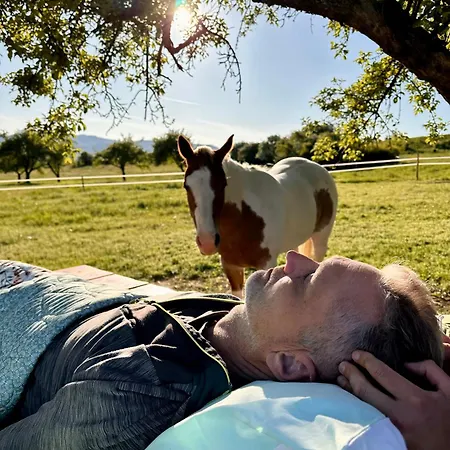 Chalet Garden House Martin