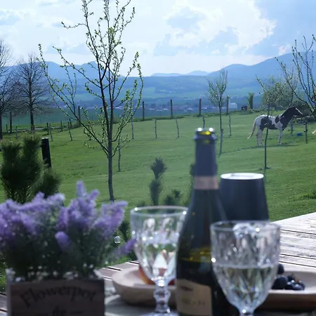 Garden House * Martin