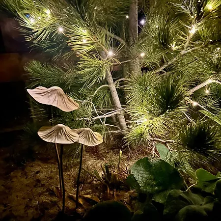 Garden House Alpehytte *