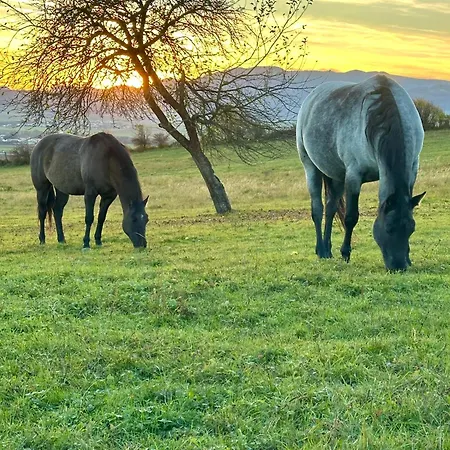 Alpehytte Garden House *