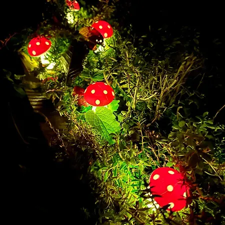 Garden House Alpehytte Martin