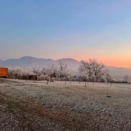 Garden House * Martin