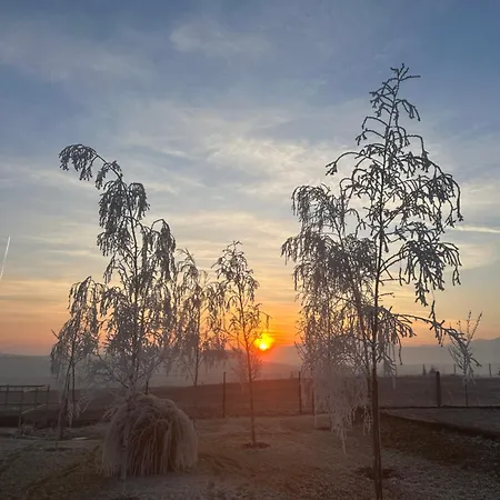 Chalet Garden House *